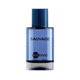 عطر جیبی مردانه بایلندو مدل SAUVAGE حجم 35 میلی لیتر